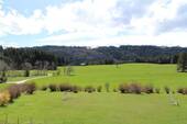 Zwischen Bergen und Wiesen - 