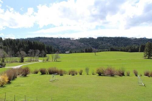 Zwischen Bergen und Wiesen - 
