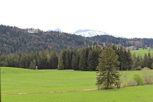 Zwischen Bergen und Wiesen - 