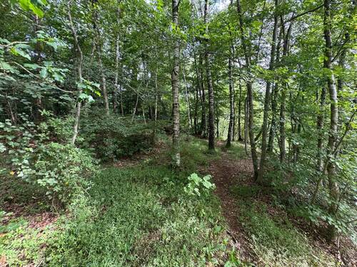 Bild 4 - Grundstück in Großenkneten zum Kaufen