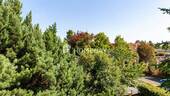 Ausblick - 