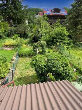 Blick in den Garten - 