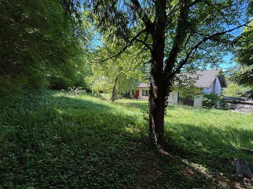 Hinteres Grundstück - 