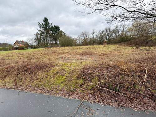 Baugrundstück - Baugrundstück im Neubaugebiet Ulmet zu verkaufen.