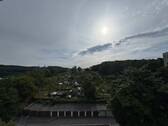 IMG_9334.jpg - 