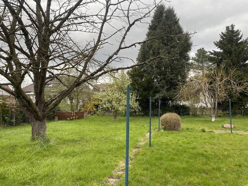 Bild 1 - freihst. Haus f. 1-3 Familien auf 1400m²Grundstück beste Wohnlage Bad Nenndorf