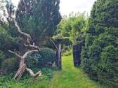 Garten untere Ebene - 