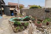 Teich - 
