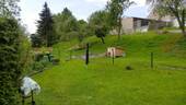 Garten - Mehrfamilienhaus, Wohnhaus mit 246,50 m² in Niedercunnersdorf zum Kaufen