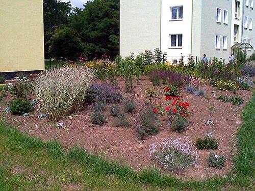 Hausansicht 5 - 