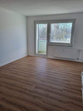 20251202_121208_resized.jpg - 