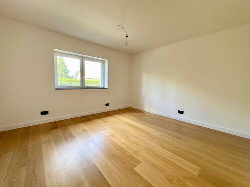 Zimmer - 