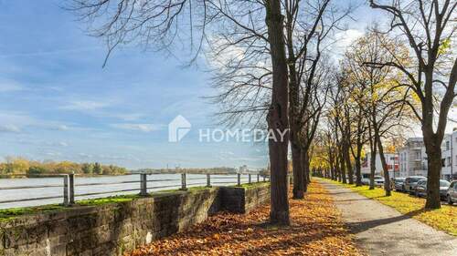 Umgebung 2 - Helle, frisch sanierte Dachgeschosswohnung mit Süd-Westbalkon - Rheinblick garantiert