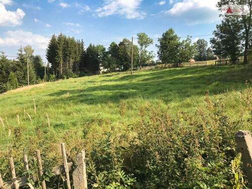 Grundstück, Arnsfeld - Ihr Traum vom Eigenheim - Baugrundstück in Mildenau OT Arnsfeld!