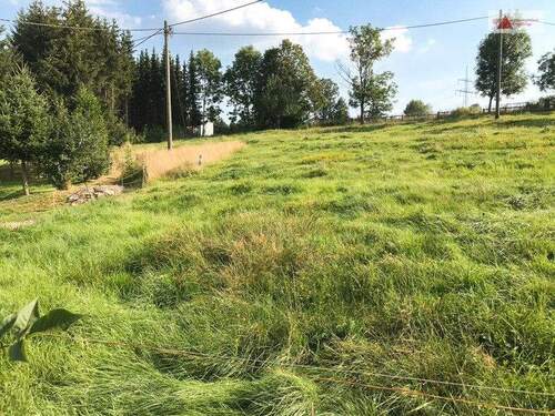 Grundstück, Arnsfeld - Grundstück zum Kaufen in Mildenau OT Arnsfeld