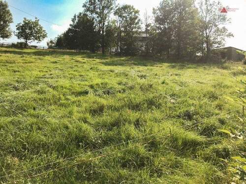 Grundstück, Arnsfeld - Grundstück in Mildenau OT Arnsfeld