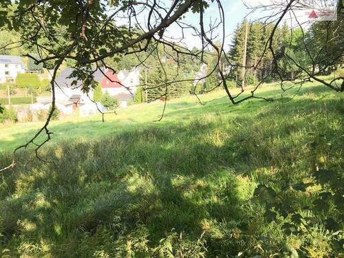 Grundstück, Arnsfeld - 