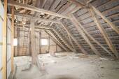 IMG_7429 - 