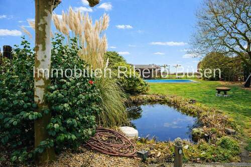 Blick in den Garten - 