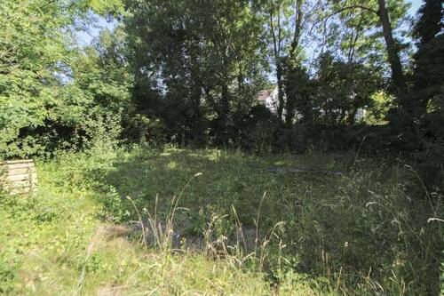 Garten_2 - 