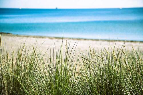 in Ostseenähe - Seltenes Unikat mit Wald in Ostseenähe