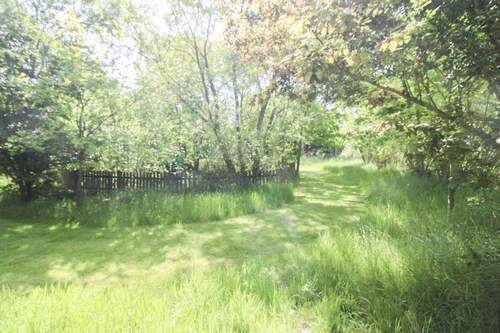 weitläufiges Grundstück - 