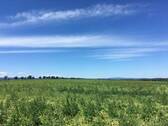 Natur - Grundstück in Ballenstedt