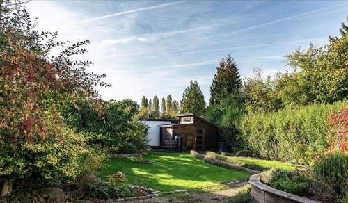 Blick in den Garten - 