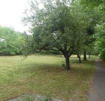 Entwicklungsfläche für Wohnbebauung und mehr! - Scheinfeld