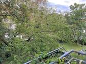 Bild 28 - 