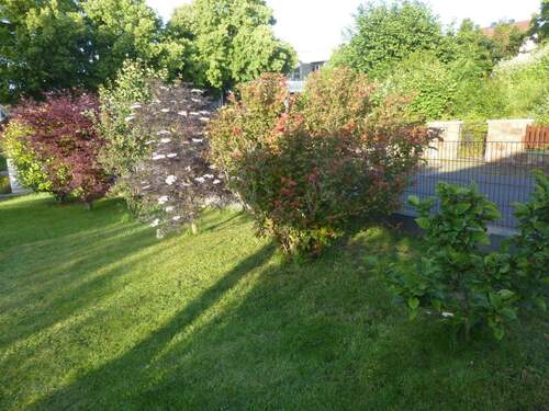 Impression Sommer 3 - 