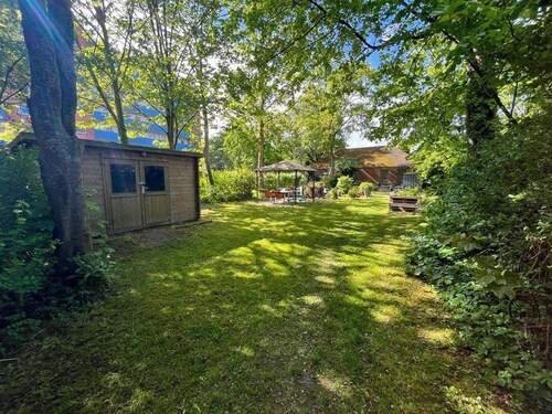 Blick in den Garten - 