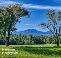 IHR DOMIZIL IN TRAUMLAGE ! Sonnen-verwöhntes Anwesen, mit wunderschönem Alpen-Panorama - Bernau am Chiemsee