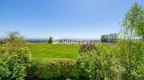 Ausblick - 
