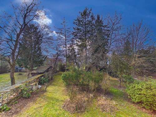 Gemeinschaftsgarten - 