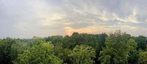 Aussicht vom Balkon - 3 Zimmer Etagenwohnung zum Kaufen in Kaarst