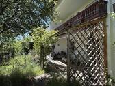 Terrasse - Einfamilienhaus mit 279,00 m&sup2; in Reut zum Kaufen
