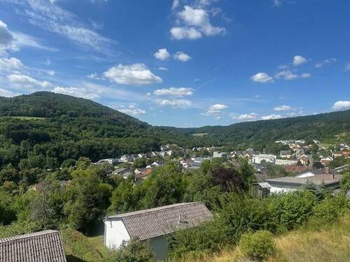 Aussicht - Mehrfamilienhaus, Wohnhaus mit 256,00 m&sup2; in Bollendorf zum Kaufen