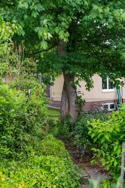 Bild 15 - 