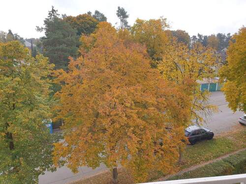 Aussicht von der Loggia. - Geräumige und Helle 3-ZIMMER - EINZEL-GARAGE möglich