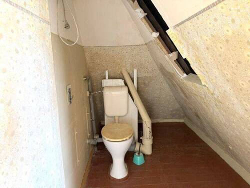 WC DG - 