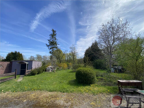 Blick in den Garten - 
