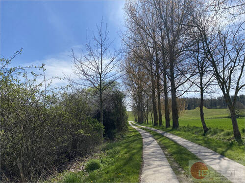 Zufahrt Badesee - 