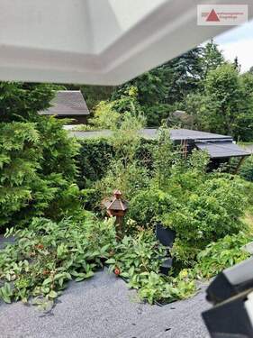 Blick ins Grundstück - 