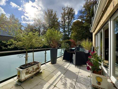 Blick in den alten Baumbestand - 