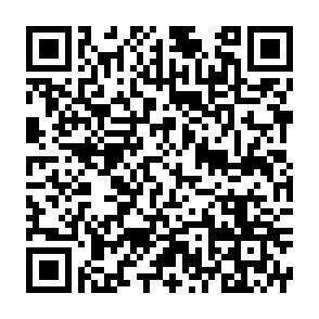 QR-Code - 