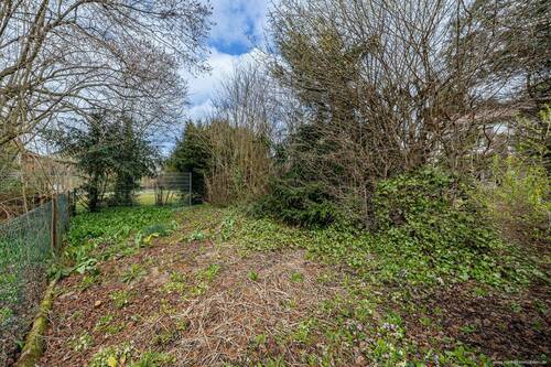Garten hinter Bauminsel - 