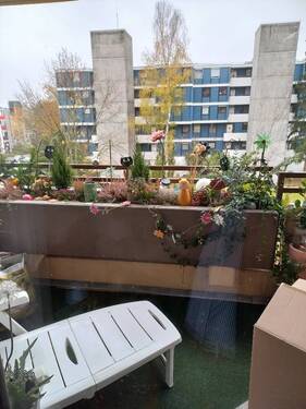 20241114_101835_resized_1.jpg - 