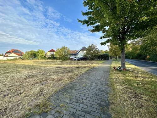 Ansicht zur Straße - 