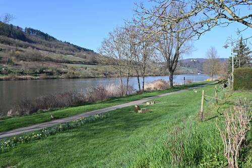 DSC_4672.JPG - 